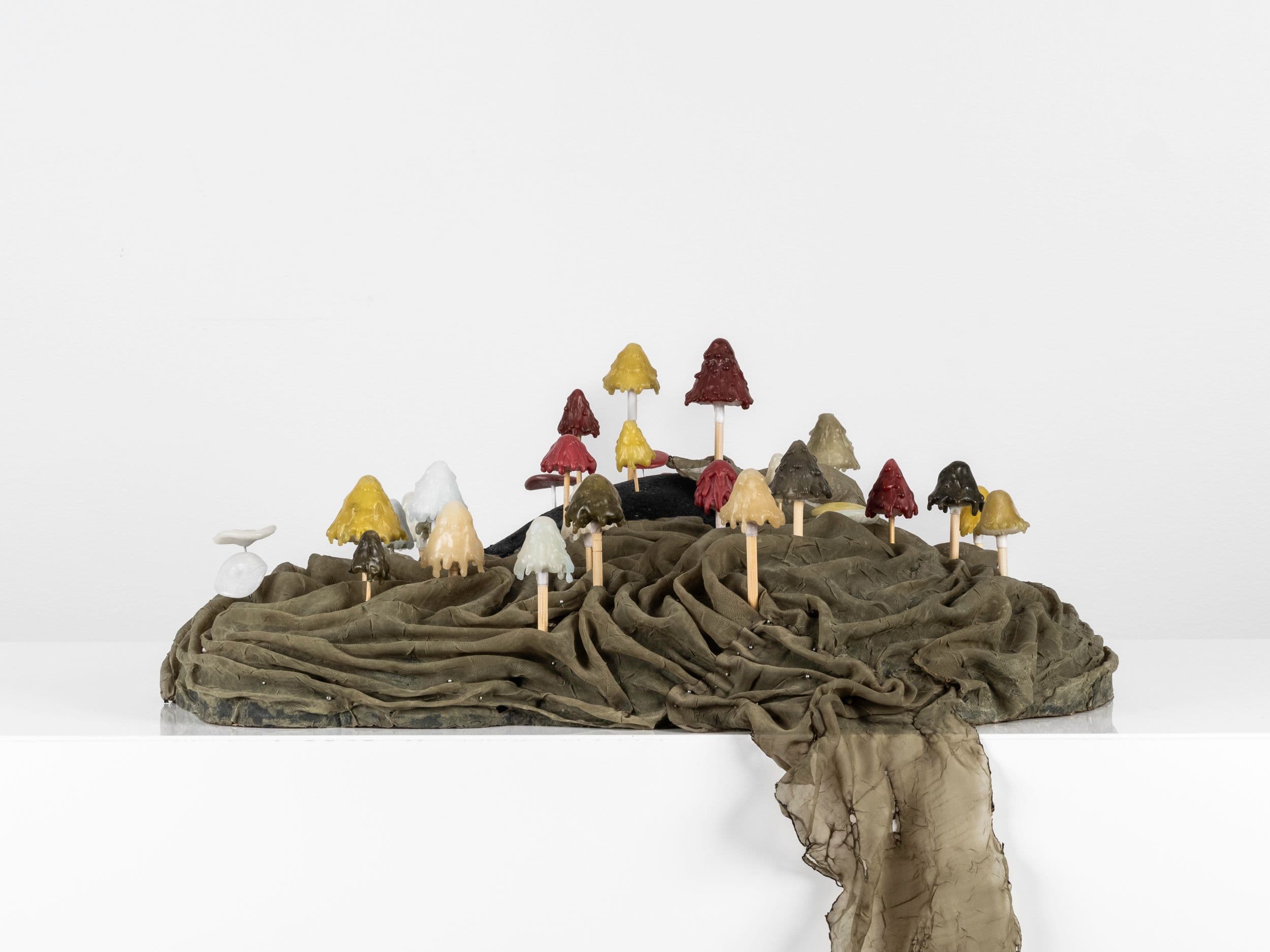 Waxen Forrest - view 1